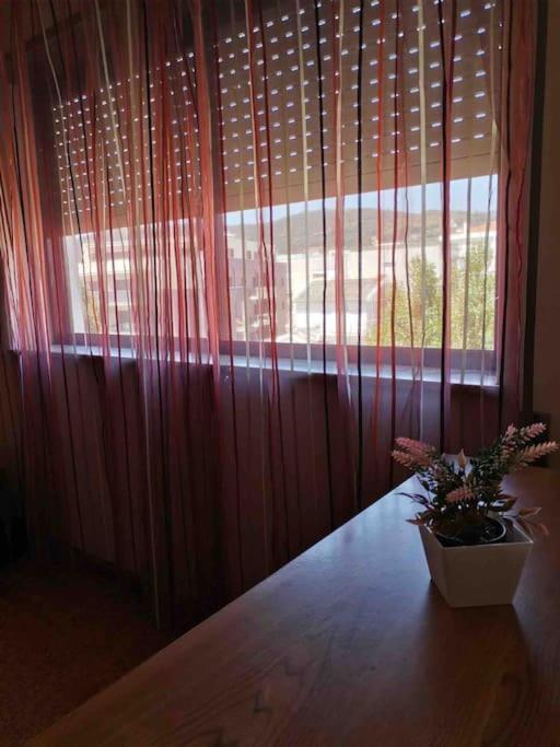 ヴィラ・プライア・デ・アンコラCardoso House Vpaアパートメント エクステリア 写真